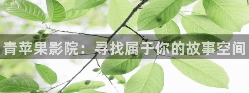 红叶影院下载：青苹果影院：寻找属于你的故事空间