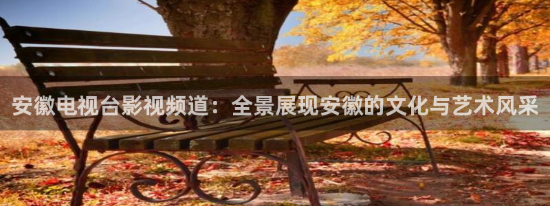 六安红叶电影院今日影讯：安徽电视台影视频道：全景展现安徽的文化与艺术风采