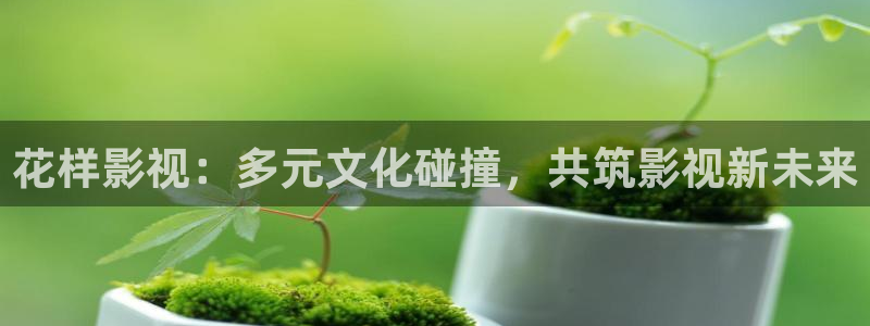 红叶影城电影：花样影视：多元文化碰撞，共筑影视新未来