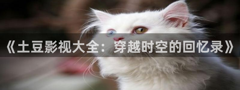 电影红叶：《土豆影视大全：穿越时空的回忆录》