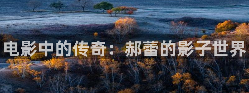 红叶电影今日影讯：电影中的传奇：郝蕾的影子世界