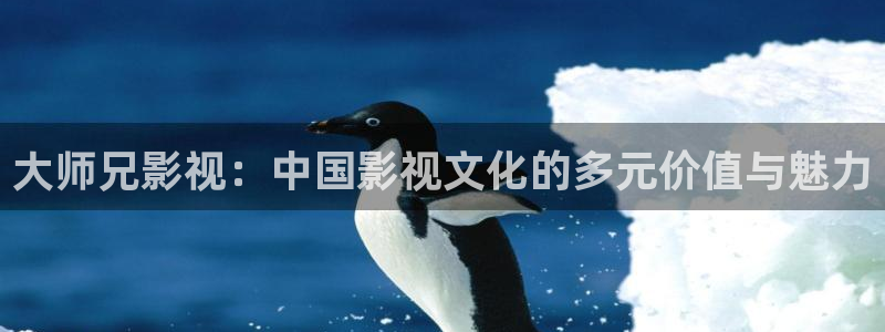 红叶电影院今日影讯：大师兄影视：中国影视文化的多元价值与魅力
