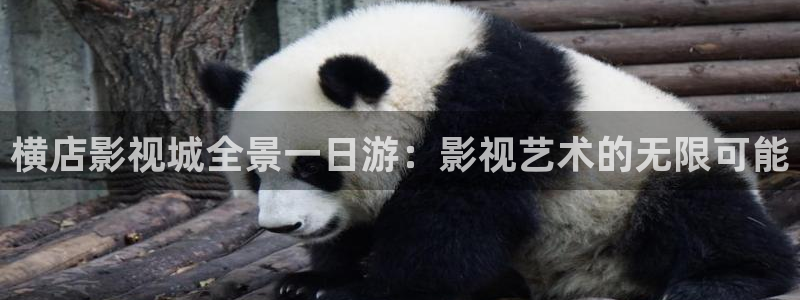 红叶影视下载：横店影视城全景一日游：影视艺术的无限可能