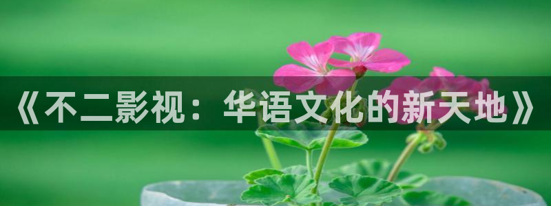 六安红叶影城今日电影：《不二影视：华语文化的新天地》